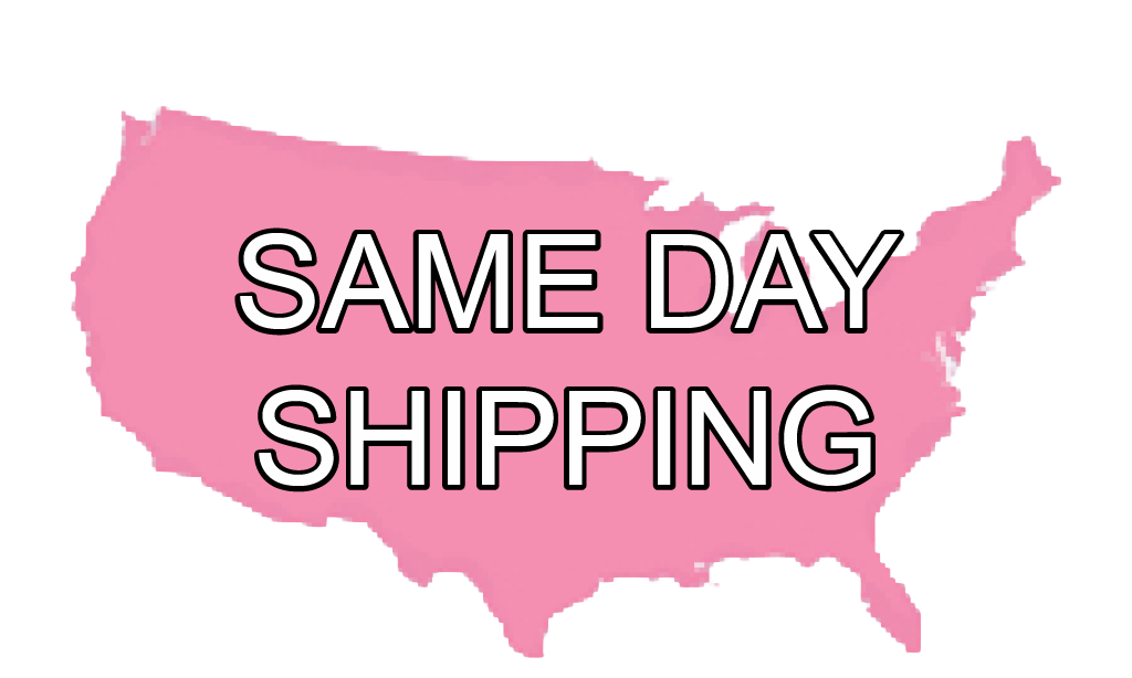 Image result for Same day shipping